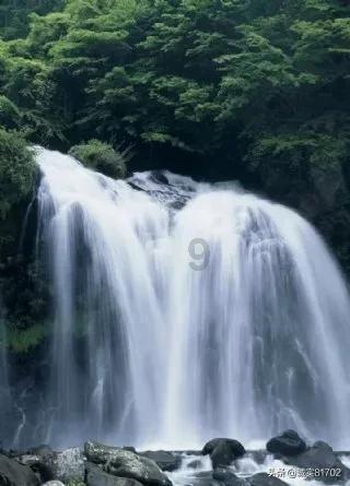 病毒大作战